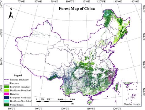 中國的森林有哪些：深度探索與多維解析