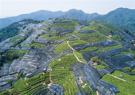 杭州龍井山深度遊玩攻略