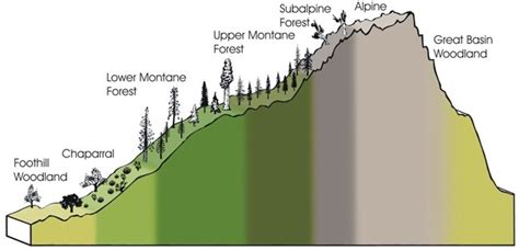 野山坡是哪個地區